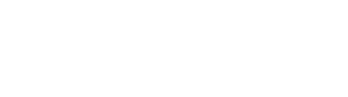 Palleggio